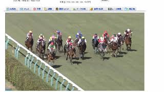 ぐだぐだ競馬予想
