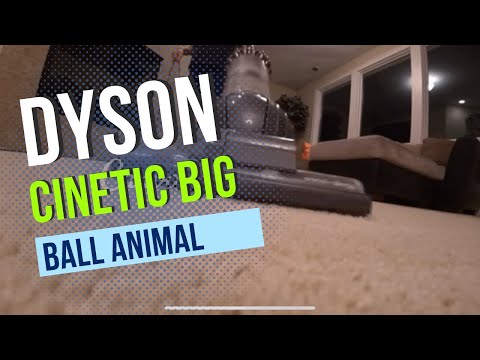 Dyson Cinetic Big Ball Animal + Allergy Upright Vacuum