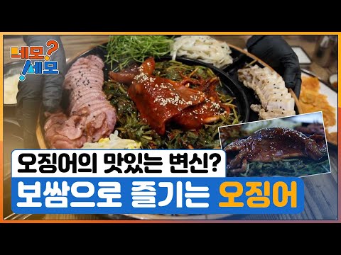[네모세모] 맛대맛! 오징어의 맛있는 변신