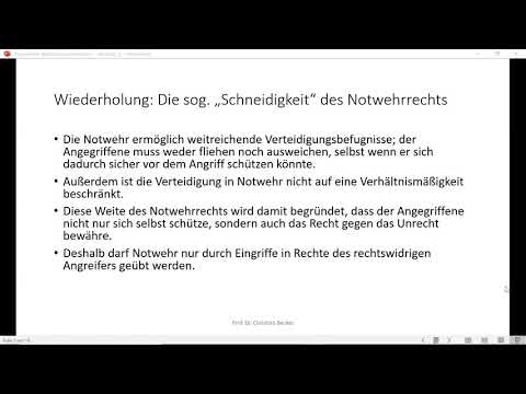 Strafrecht GK I - Einheit 13