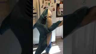 Baby shark countdown