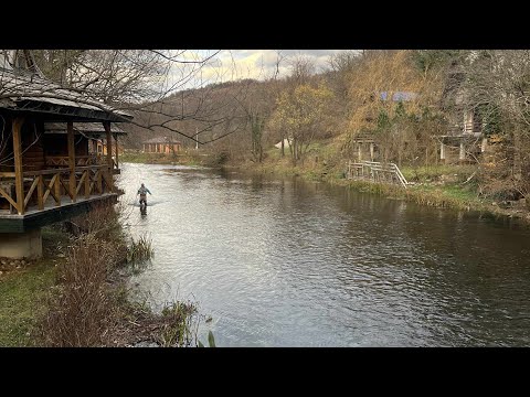 Fly Fishing - Ribnik- Bosnia November 2025