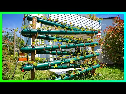 🍓#Erdbeerrohr mit 100 Pflanzen für weniger als 200 Euro in unter 48 Stunden selber bauen!🥰🥰