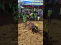 Jallikattu Jallikattu Video Mass 2 Jallikattu