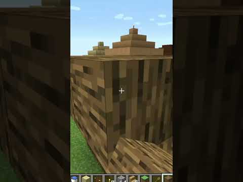 INSANE! Pro gamer creates epic village in Minecraft in one day!