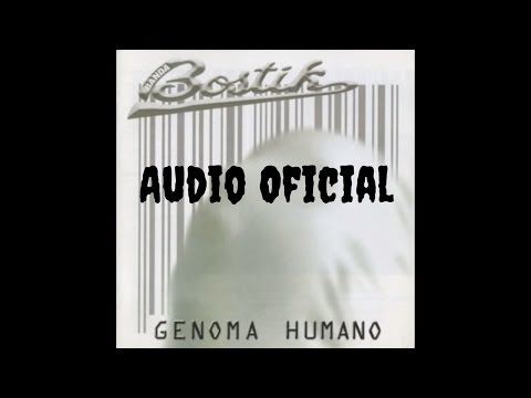 Guerrillero - Bostik