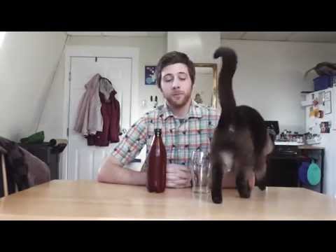 Mr. Beer Review Bohemian Czech Pilsner (with cat)