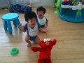 Twin Babies Crying And Screaming When Elmo Shakes