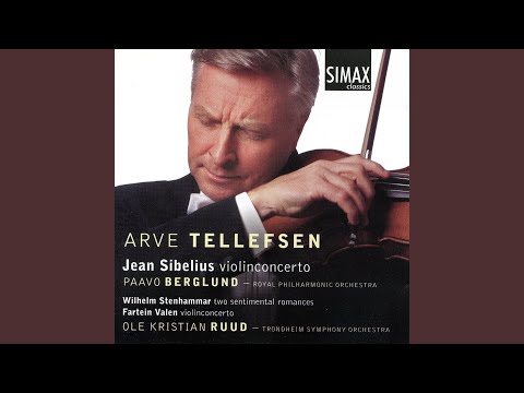 Violin Concerto In D Minor, Op. 47 Allegro Moderato