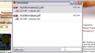 Use the Download Manager in Firefox 3