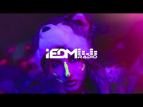 iEDM Radio Guest Mix - Infected Mushroom