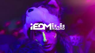 iEDM Radio Guest Mix - Infected Mushroom