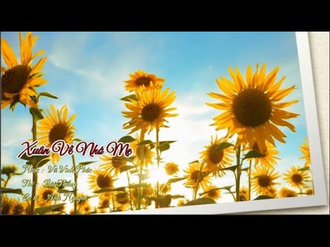 Xuân về nhớ mẹ - Anh Nguyên