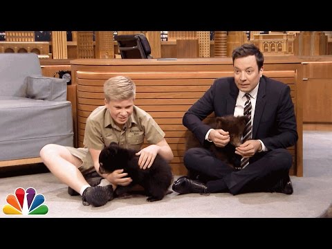 Steve Irwin's Son Robert Returns To The Tonight Show To Introduce Jimmy Fallon To The Cutest Black Bear Cubs!