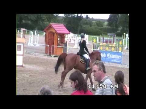 BLM Sport Horses - 2012 - BLM Cosmopolitan Charlie By Kannan