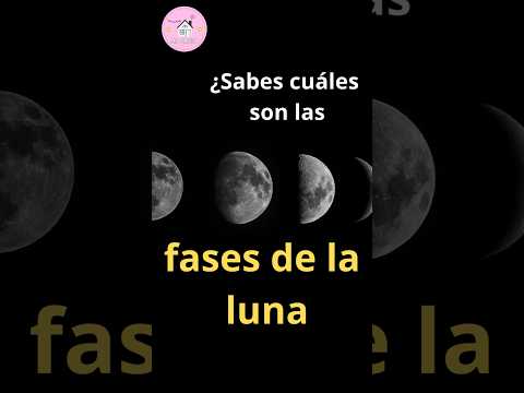 ¡La Luna en Todas sus Fases: Un Misterio Cósmico! 🌑🌓🌕🌔 #curiosidades #sistemasolar #luna
