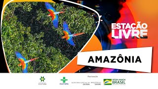 Miniatura do vídeo
