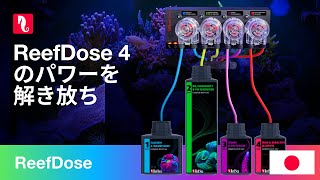 Red Sea Self Support Product Complete-reef-care-4-part Videos Red Sea Self Support Product Complete-reef-care-4-part Videos