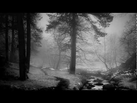 Uaral - Acidal (tonada para el huerto en re menor)