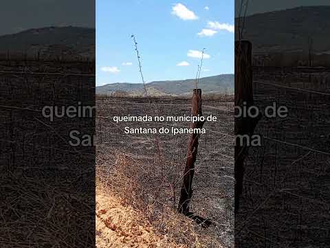queimada em Santana do Ipanema