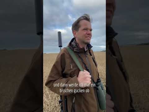 Wir sind auf Blattjagd Teil 1 I Nordic Jagd