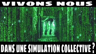 VIVONS NOUS DANS UNE SIMULATION COLLECTIVE ?