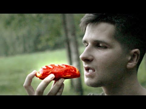 NESVEIKIAUSIA BANDELĖ