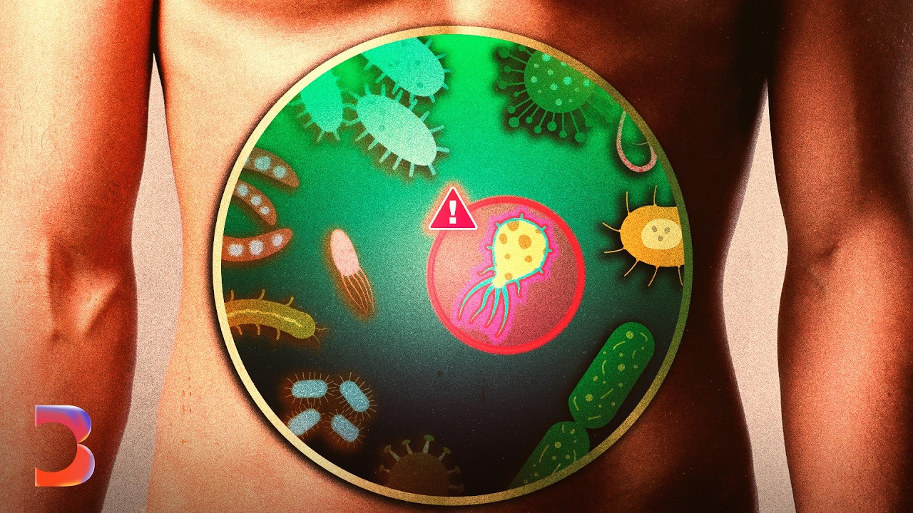 Hacking the Microbiome to Fight Cancer