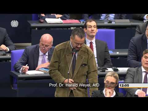 Harald Weyel: Bundeskanzlerin und Bundeskanzleramt [Bundestag 21.11.2018]
