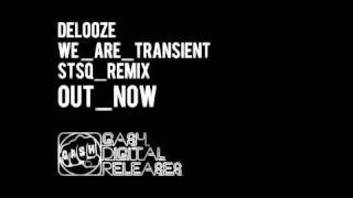 Delooze 'We Are Transient' (STSQ Remix)