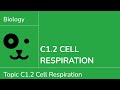C1 2 Cell Respiration IB Biology SL HL