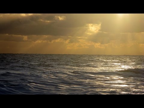 AMAZING GRACE (Meravigliosa Grazia) ▒ Trad. USA