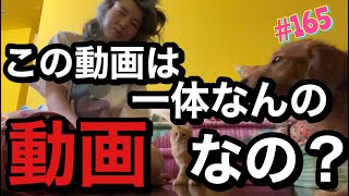 この動画は一体なんの動画でしょうか？タイトルは見る人が決めてください?この女優やりたい放題だな…やばいぞ