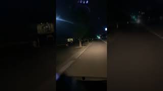 ライブ ハイライト