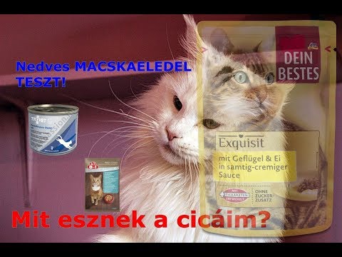 Paraziták férgek helminták a testben, Higiénia és higiénia - helminták