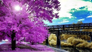 IF I WERE YOU - (COLLIN RAYE / Lyrics)