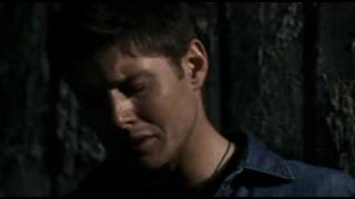 Dean Winchester - Animal I Have Become