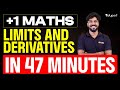 Limits And Derivatives In 47 Minutes Plus One Maths Chapter 12 Eduport Plus One