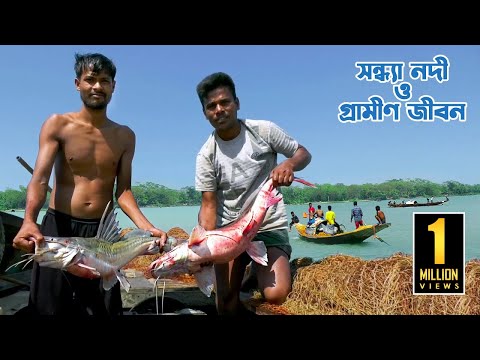 বরিশালের কর্মব্যস্ত সন্ধ্যা নদী ও নদীপাড়ের গ্রামীণ জীবন || Panorama Documentary