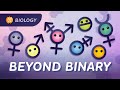 Gender Sex Sexuality What S The Difference Crash Course Biology 48