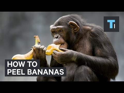 How to peel bananas