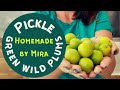 Homemade Raw Pickle Green Wild Plums | Easy Recipe by Mira