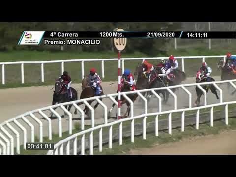 LP 200921 c04 MAGGOT BOY