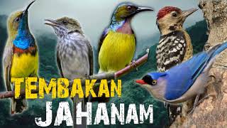Download lagu TEMBAKAN JAHANAM !!! BIKIN JURI TERPUKAU !!! MASTERAN BURCIL !!! mp3