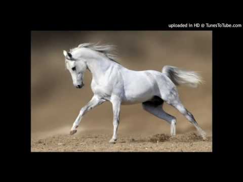 Today's Tango Is... Corralera - Alfredo De Angelis 11-12-1956