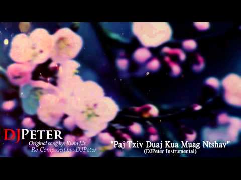 Kwm Lis - Paj Txiv Duaj Kua Muag Ntshav (DJPeter Instrumental)