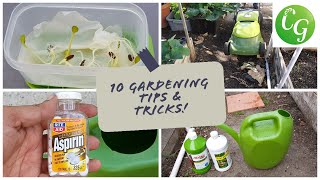 10 Gardening Tips & Ideas every gardener should know - in 4K