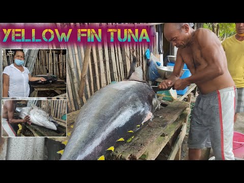 70kilos YellowFin Tuna | Sobrang laki 😳 | Jake McEarly