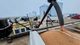 Cleaning Seed - North Farm