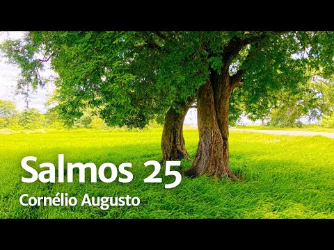 Spoken Bible | Psalm 25